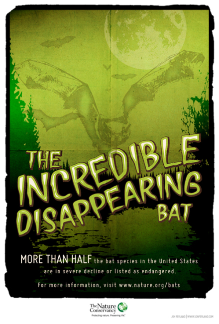 Bat Conservation Poster