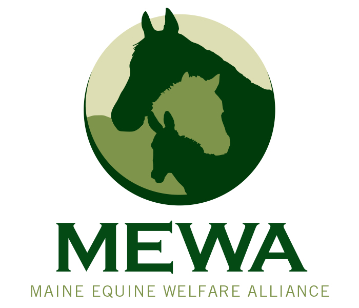 MEWA_Logo